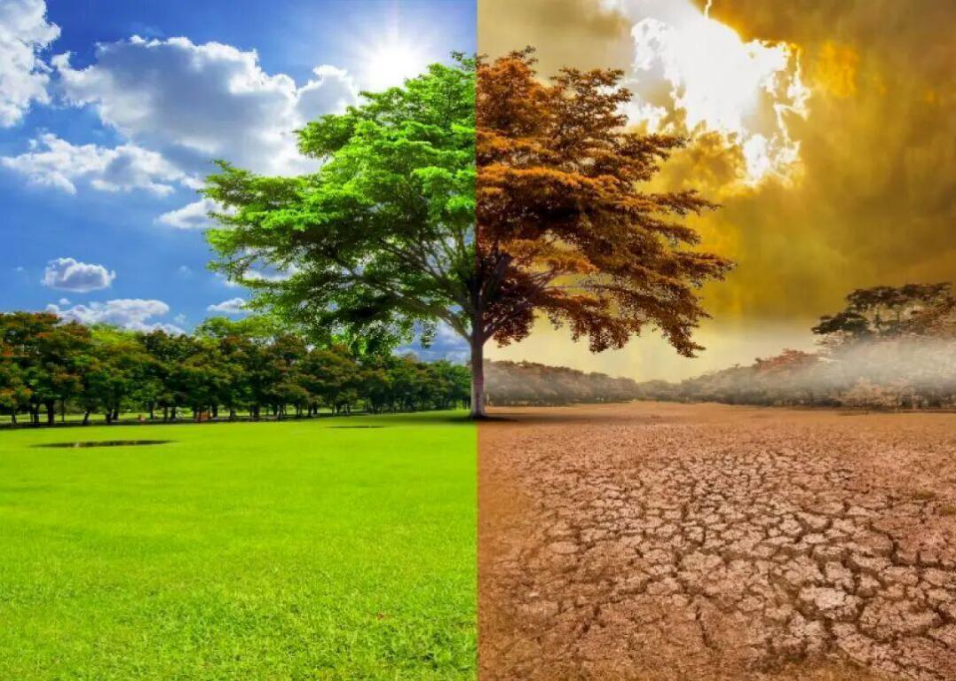 ai-climate-change